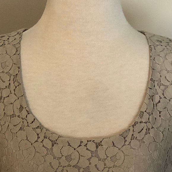 Like-New Grey Lace Talula/Aritzia 'Betsey' Top - Picture 3 of 13
